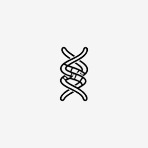 DNA icon