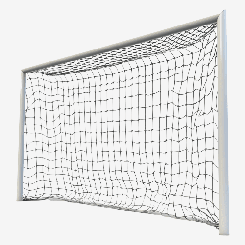 Goal