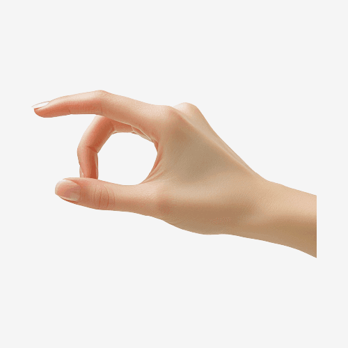 Human Hand