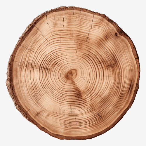Wooden Base