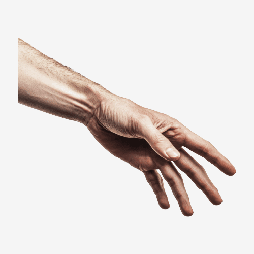 Human Hand
