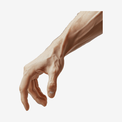 Human Hand