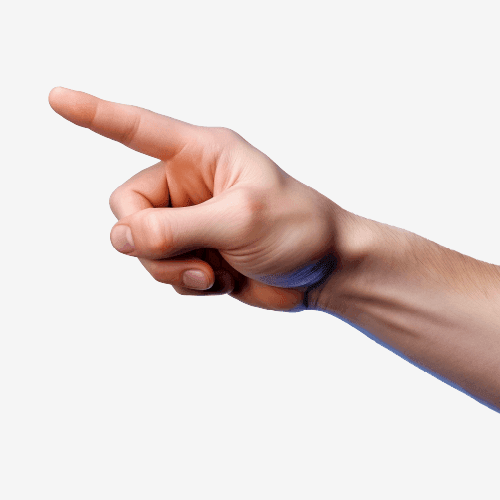 Hand Gesture