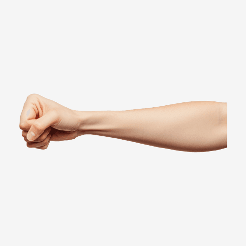 Human Hand