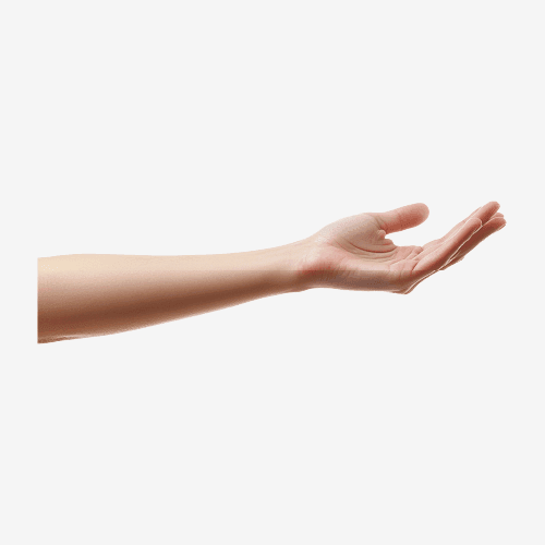 Human Hand