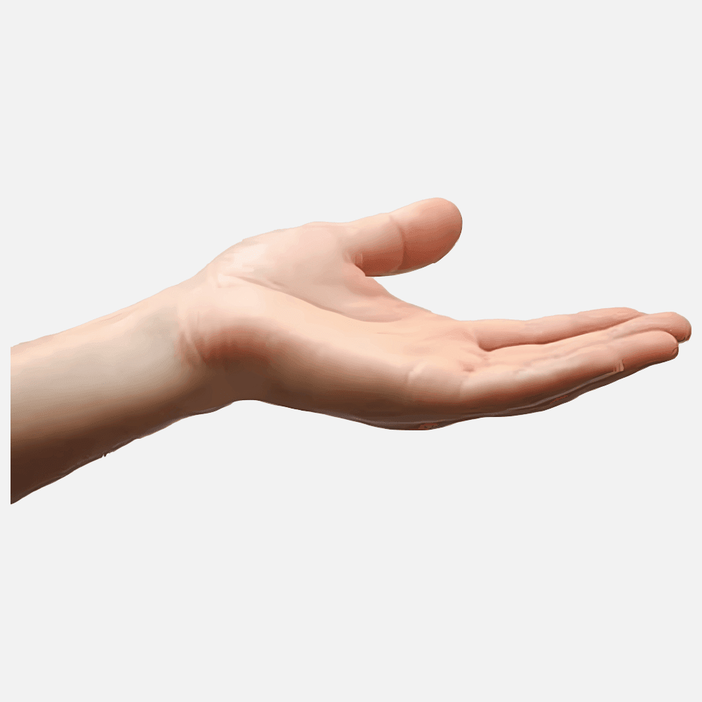 Human Hand