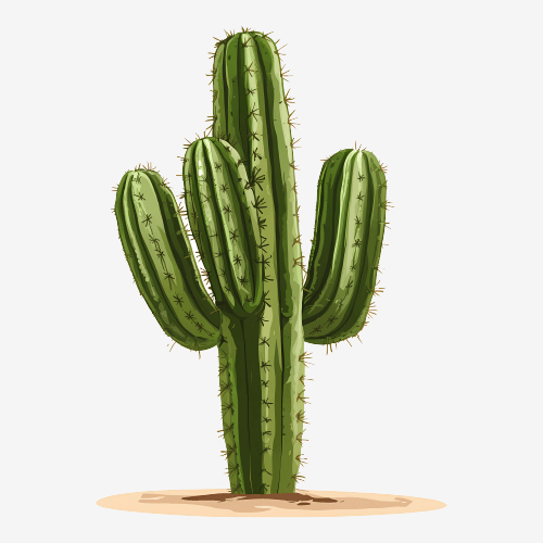 Cactus