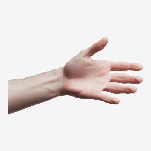 Human Hand
