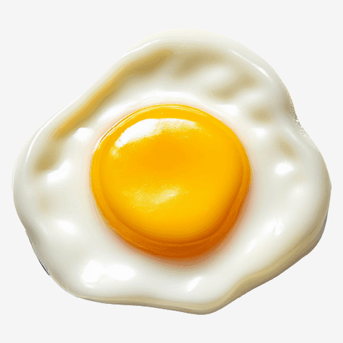 Fried Egg