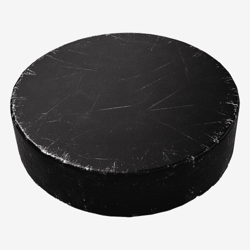 Hockey Puck