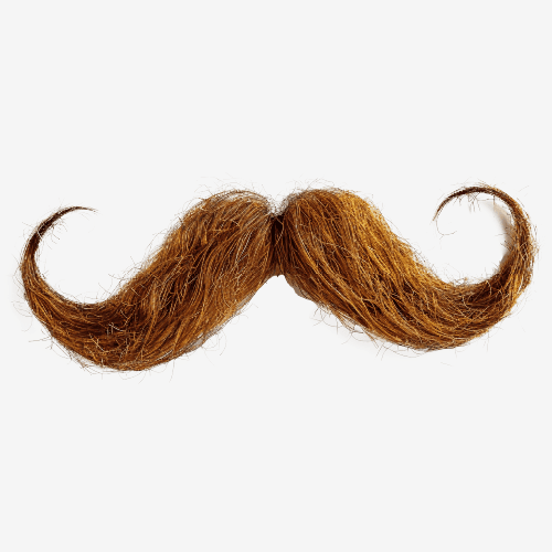 Moustache