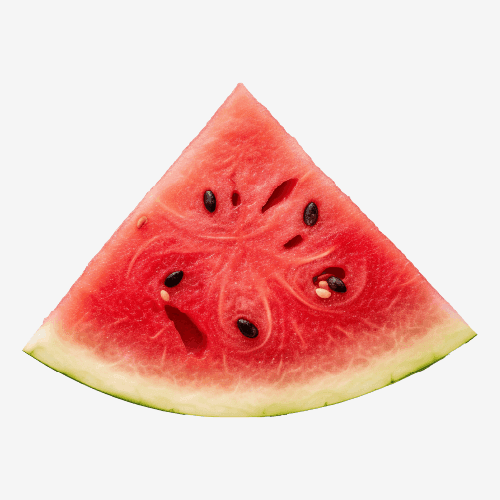 Watermelon Slice