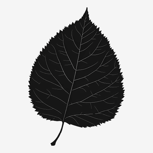 Leaf Silhouette