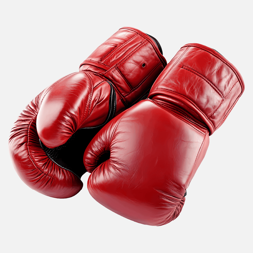 Boxing Gloves
