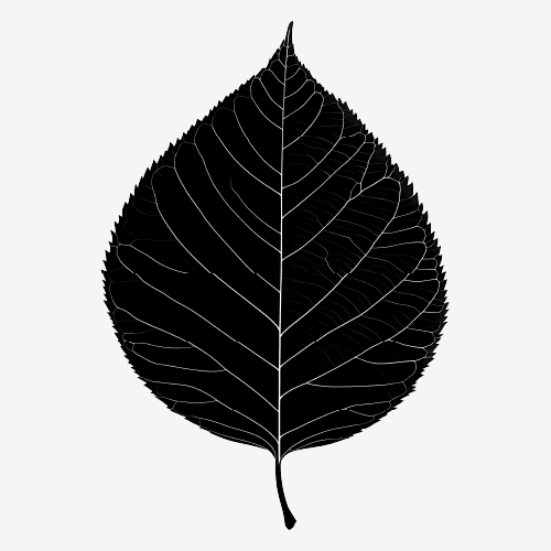 Leaf Silhouette